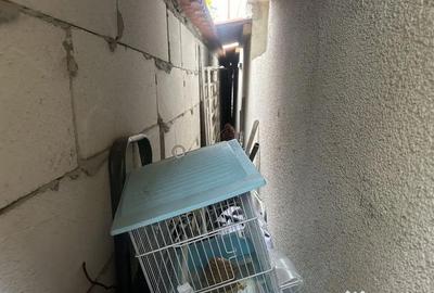 Casă cu 5 camere cu Canalizare în Coiciu - 2