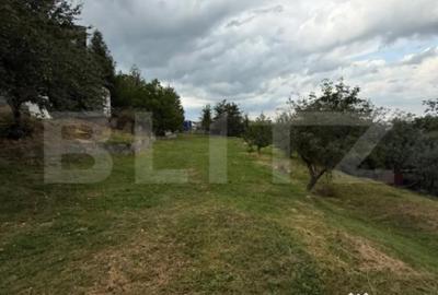 Casă cu 4 camere cu Teren 4800 Mp în Central - 2