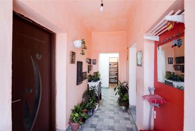 RECO teren cu casa de vaioaga - 13