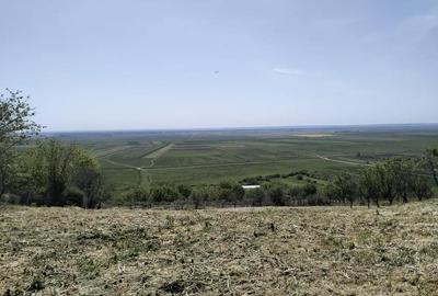 Casă cu 3 camere cu Teren 2500 Mp în Băneasa - 6