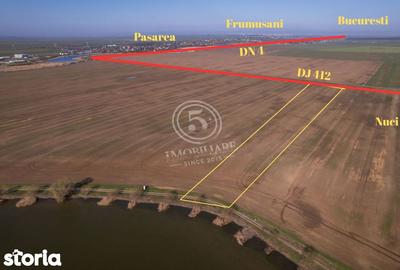 Teren de 17500 mp, în Vasilați - 2