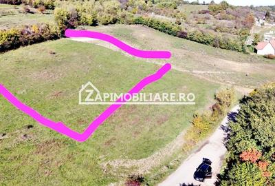 Teren 2.200 mp puz aprobat 36.euro mp - 2