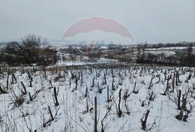 Teren de 6850 mp, în Izvor - 3