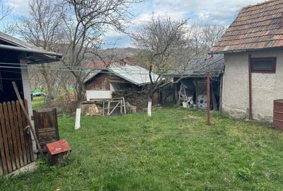 Casă cu 4 camere în Gura Beliei - 2