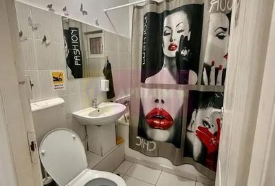 Spațiu comercial, de 36 mp, în Sebastian - 4