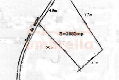 Teren de vanzare in Belis 2.985 mp - 4
