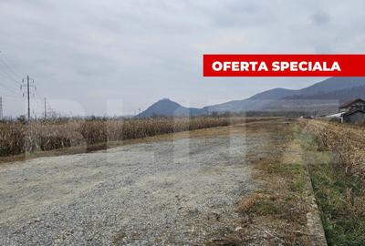 Oportunitate de Investi?ie de Top in ?oimu? - 2600 mp te - 3