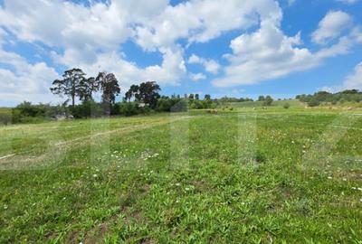 Teren de 5000 mp, în Cetății