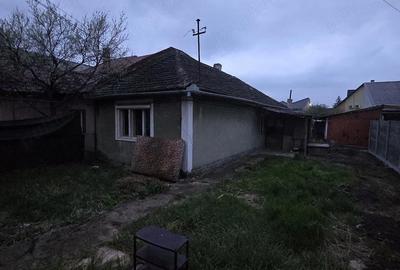 Casă cu Teren 270 Mp în Mehala - 3