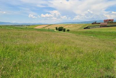 TEREN INTRAVILAN  BOD - 1200 mp pentru constructii case Sp+P+E+M - 6