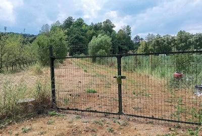 Teren de 3000 mp, în Ezeriș - 4