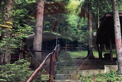 DE VANZARE Pensiune | 12 camere | Bisoca / Buzau - 3