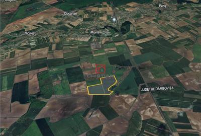 Teren Peris - Crevedia, Ilfov - 2