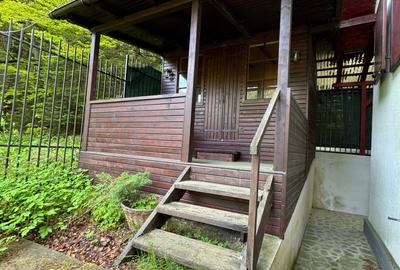 Casa de vacanta Predeal - 18
