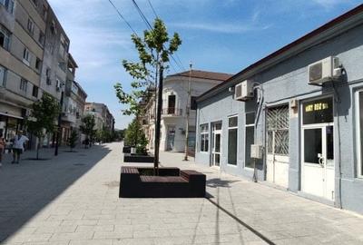 Exclusivitate: Vila Istorica de Vanzare in Constanta. - 5