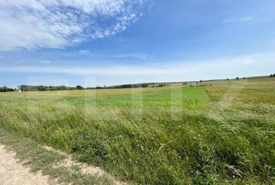 Teren cu suprafata de 8000mp ,situat in Mitocu Dragomirnei,z - 1