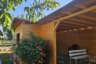 Proprietate imobiliara casa și teren în Criva de Sus - 3