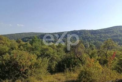 Teren Construcții extravilan de 4944 mp, în Tigveni - 5