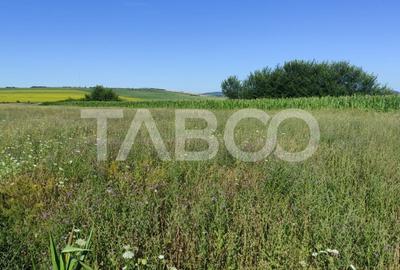 Teren extravilan de vanzare 25920 mp in Sura Mica Sibiu - 4