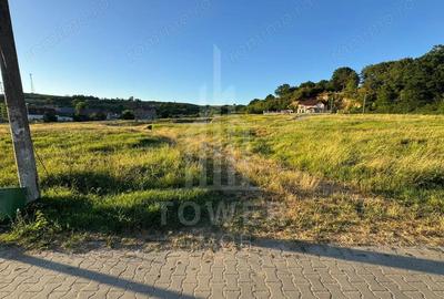 OPORTUNITATE la Ocna Sibiului - Teren Casa/Cabana langa Lacul Fara Fund - 8