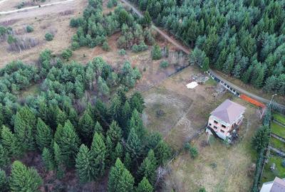 Comision 0%! Teren Sacele / Strada Valea Larga 2000 mp - 9