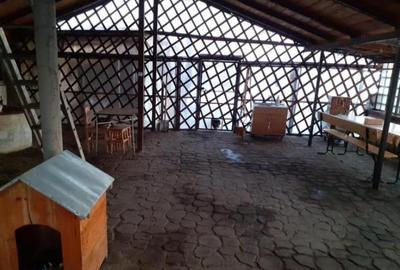 Casa 2 camere 80mp construiti Cazasu 5000 mp teren - 3