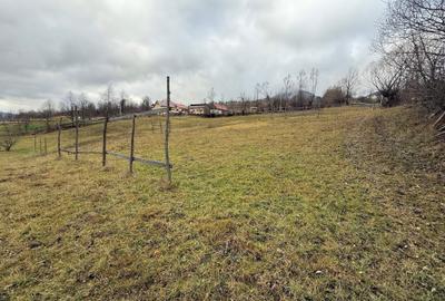 Teren de 4872 mp, în Lunca - 7