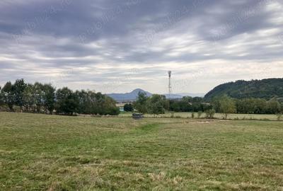 Teren de 3880 mp, în Cheia - 6
