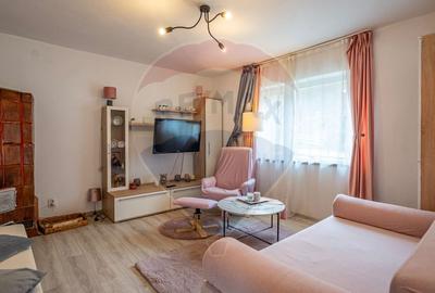 Casa de vanzare Sinca Noua/ Priveliste de vis/ De vanzare! - 10