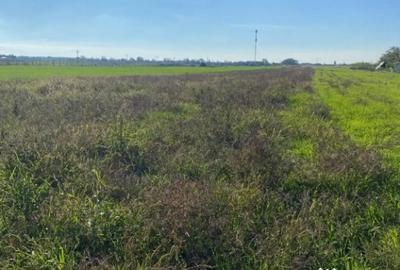 Teren de 10198 mp, în Bujac