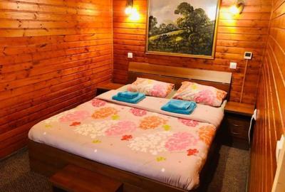 Casă individuală cu 5 camere cu Canalizare în Feleacu - 29