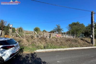 Teren de localitatea Telita-judetul Tulcea - 9