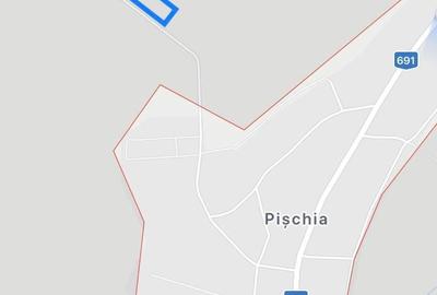Teren de 4375 mp, în Pișchia - 4