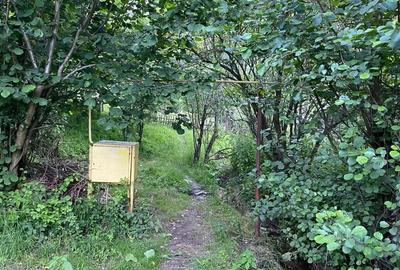 Vand teren Breaza 3325 mp - 5