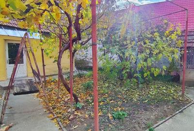 Vand casa in Recas, Timis - 8