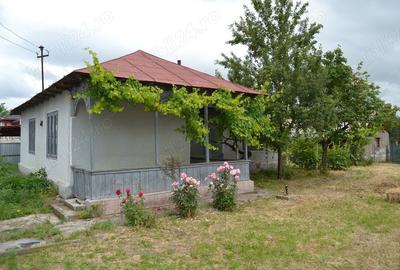 Casă cu 5 camere cu Teren 1447 Mp în Surdila-Greci - 8