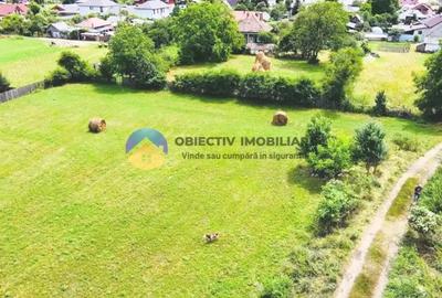 Teren intravilan 1657 mp sat Stejaru, comuna Pangarati - 3