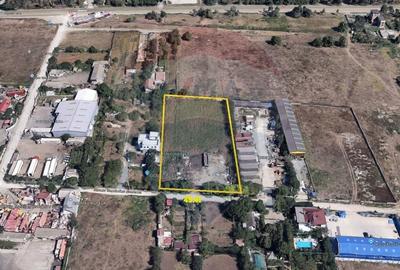 Teren Construcții intravilan de 4781 mp, în Palas