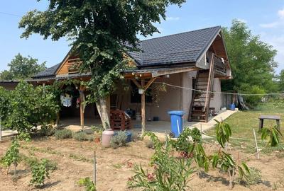 Casa P+M la GRI in Petrachioaia