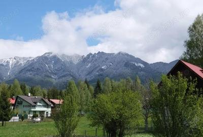 Pensiune la Cheia, moderna, functionala in totalitate, vedere mirifica (chirie) - 6