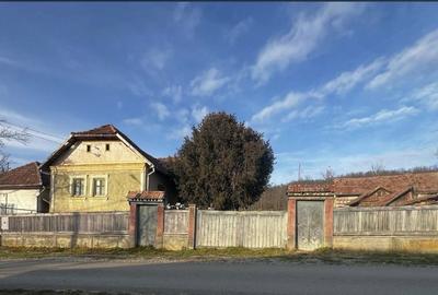 Spațiu comercial, în Sic - 1