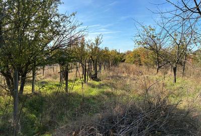 Teren de 5140 mp, în Exterior Vest - 9