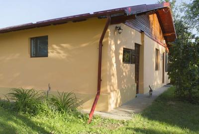 Casă cu 4 camere cu Teren 1294 Mp în Snagov - 10