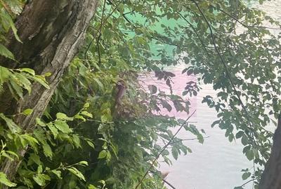 Teren Construcții intravilan de 1653 mp, în Valea Doftanei - 11