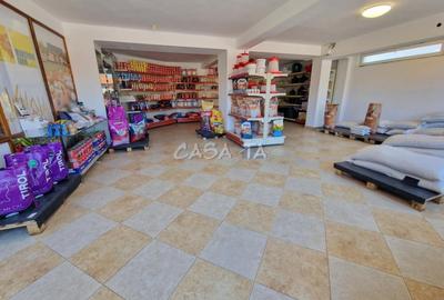 Inchiriere spatiu comercial, in Dragoeni - 2