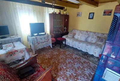 Casă în Ormeniș - 3