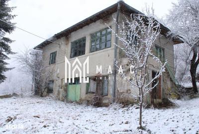 Teren de 20000 mp, în Berislăvești - 17