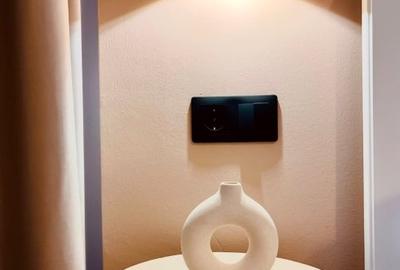 Apartament cu 2 camere semidecomandat, mobilat în Cișmigiu - 14