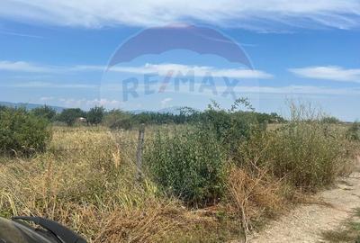 Teren Construcții intravilan de 923 mp, în Golești - 5