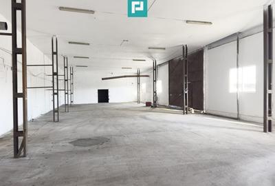 Spațiu industrial de 725 mp în Vladimirescu - 1
